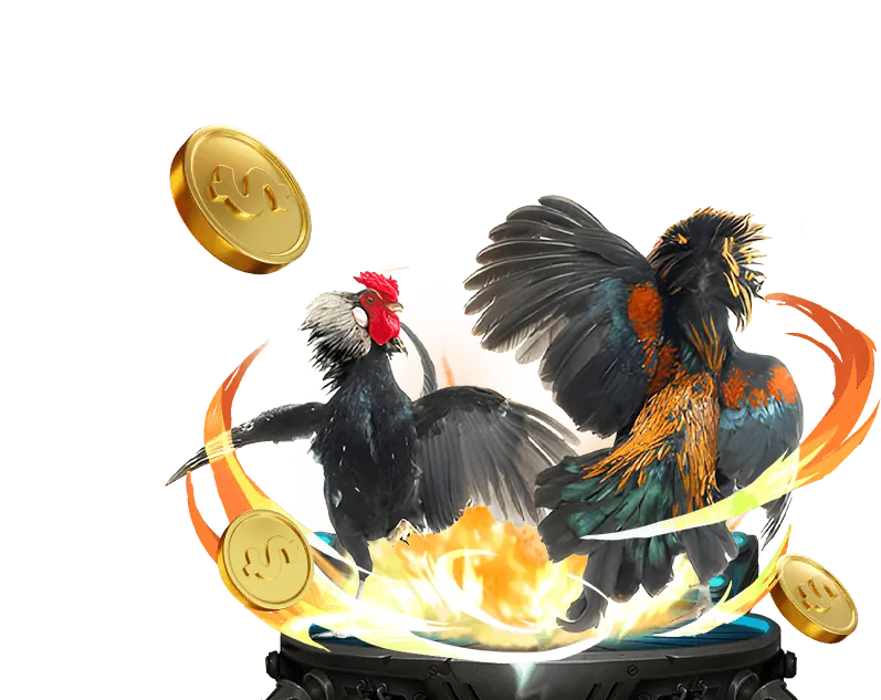 Hệ thống kkwwin với tốc độ xử lý vượt trội